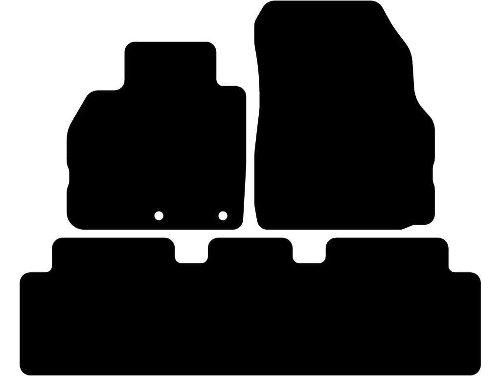 Bilmattor för Renault Scenic/Grand Scenic 2003 - 2009