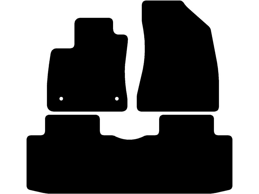 EV