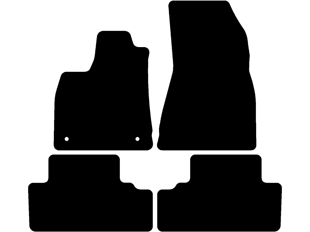 Bilmattor för Renault 4 2025 - 2026