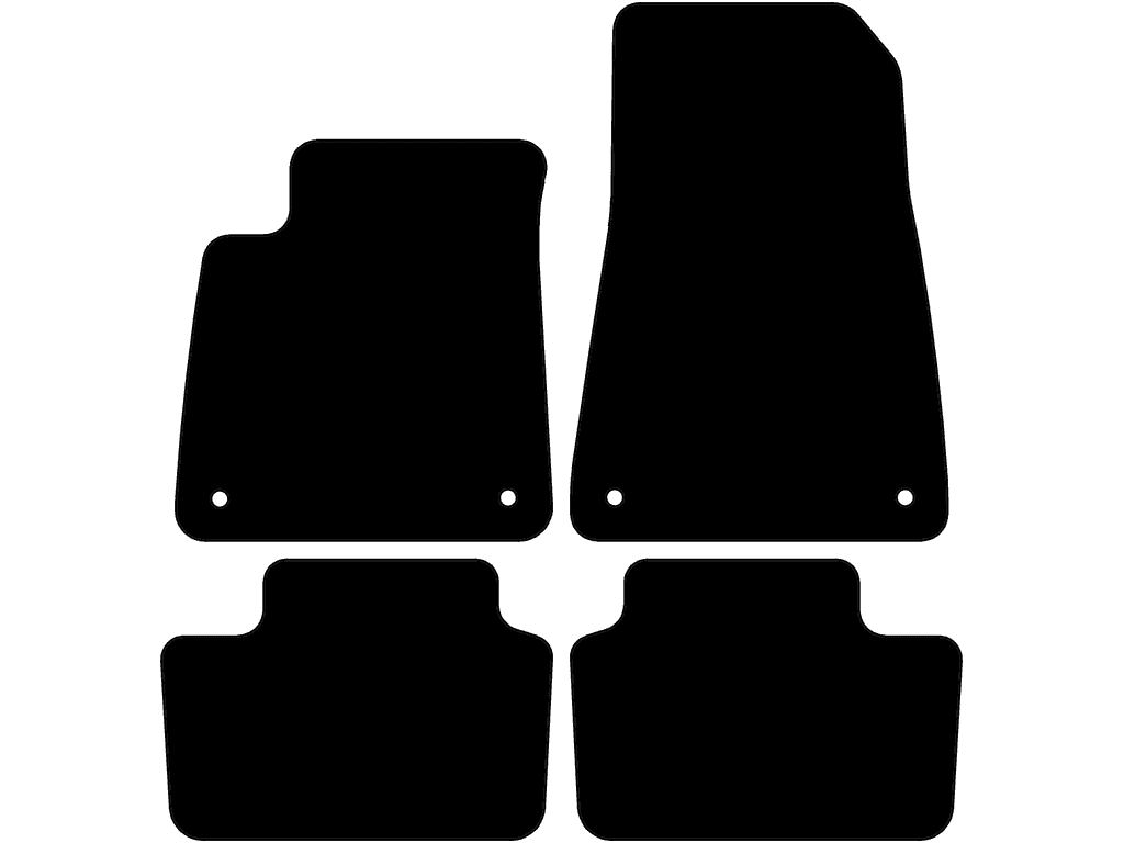 Bilmattor för Polestar 2 2020 - 2026