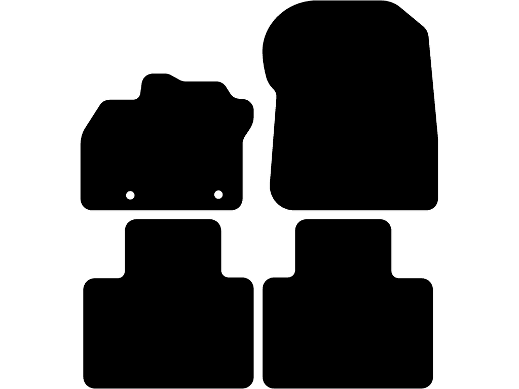 Bilmattor för Renault Zoë 2012 - 2019