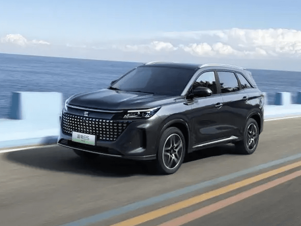 Bilmattor för DFSK E5 2024 - 2025