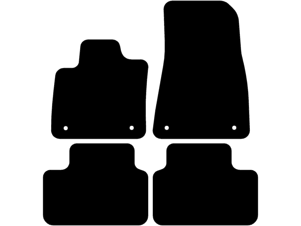 Passagerarmatta med fixering