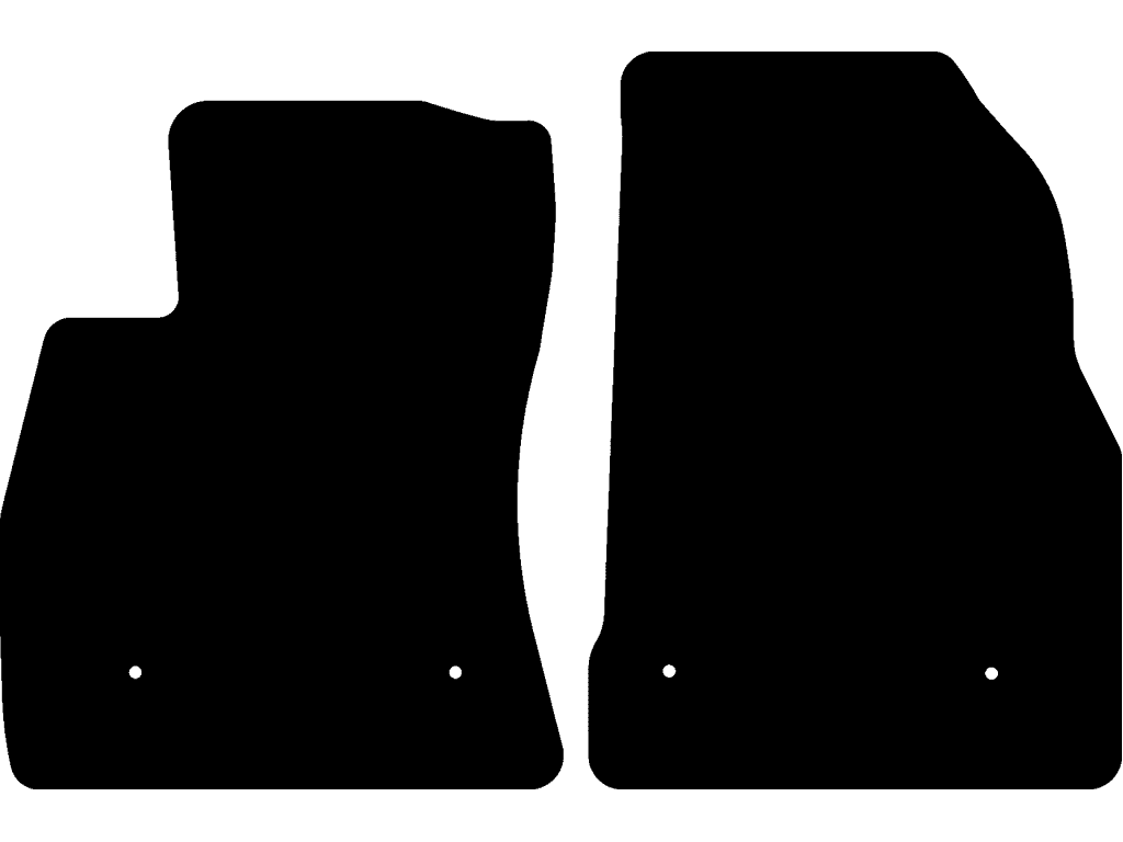 Medförare med fixering