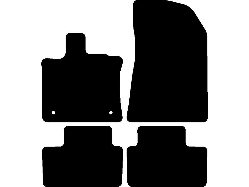 Bilmattor för Mitsubishi Grandis 2025 - 2026