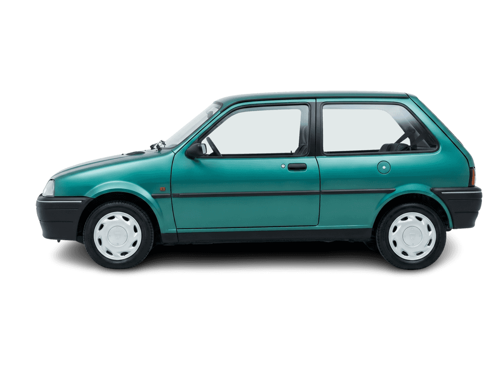 Rover 100