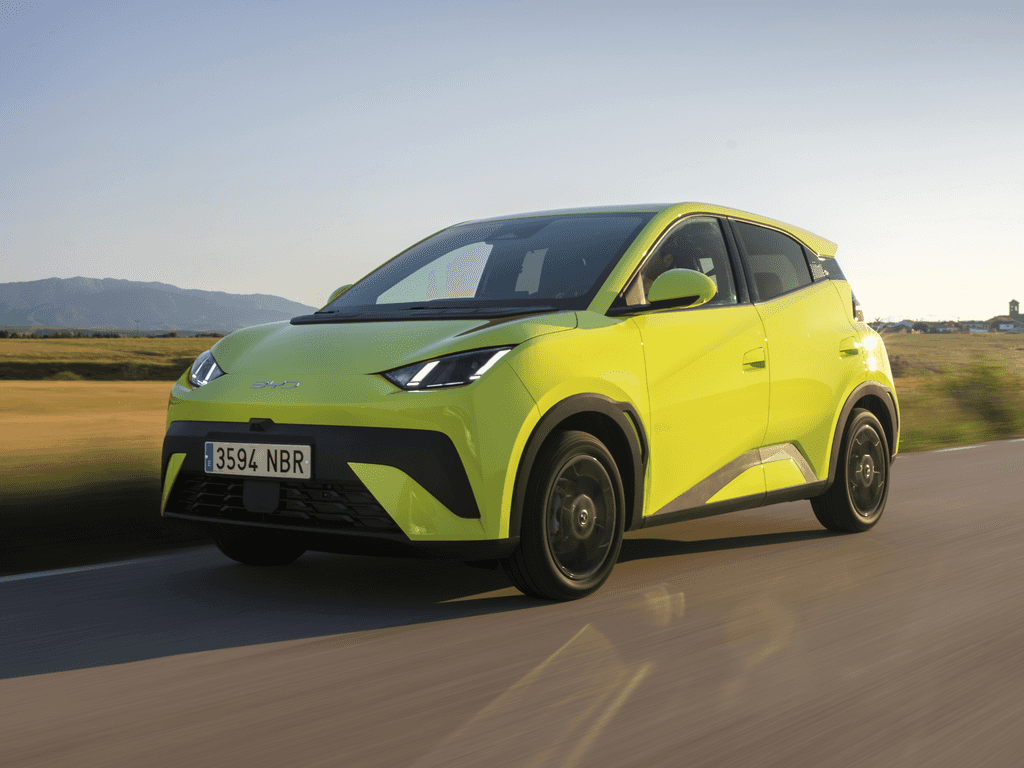 Bagagerumsmatta för BYD Dolphin Surf 2025